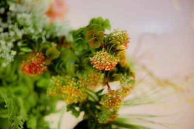 Flower Etymology: Uncovering the Origins of Floral Names